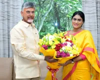 ఏపీ సీఎం చంద్రబాబుకు వైఎస్ షర్మిల శుభాకాంక్షలు!